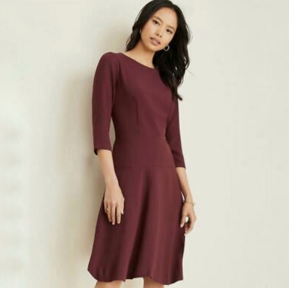 NWT Ann Taylor Fit and Flare Dress